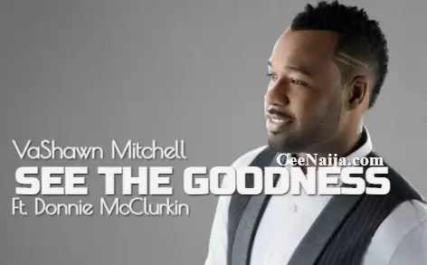 VaShawn Mitchell - See The Goodness mp3 download