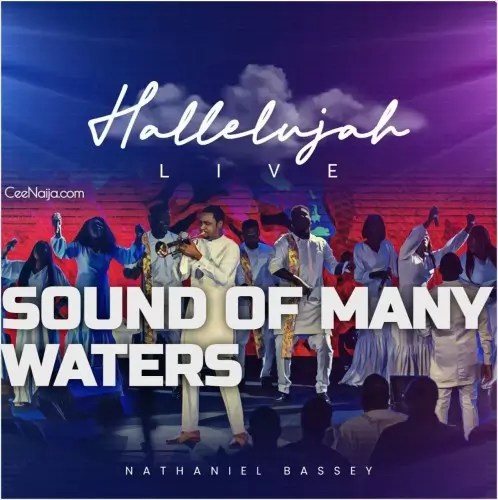 Nathaniel Bassey - Sound Of Many Waters mp3 download